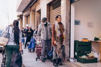 DSC06601 копия_resized